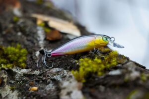 Top 10 Lures for Salmon Fishing in Summer